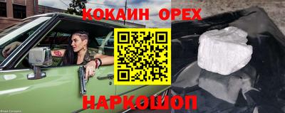 шишки Тверь