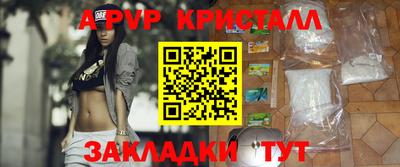 шишки Тверь