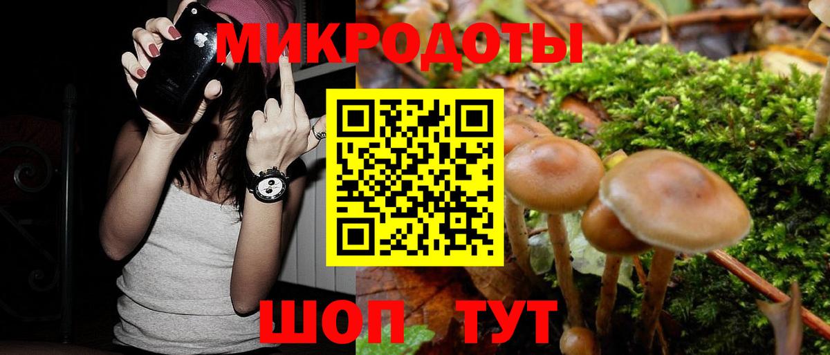 Псилоцибиновые грибы MAGIC MUSHROOMS Реж